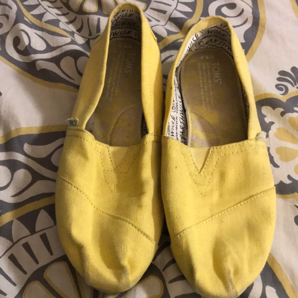 Yellow Toms